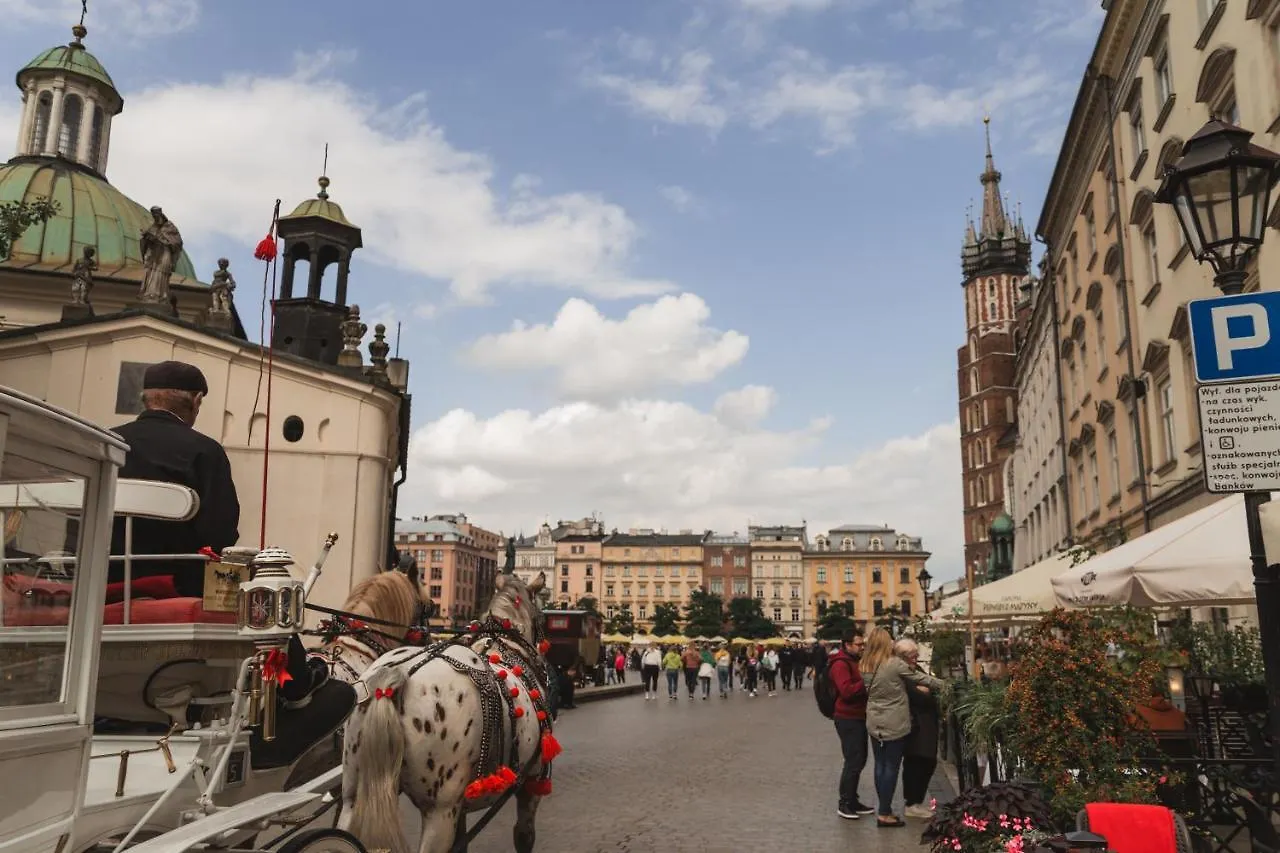 *** Inn Filin Apartment Krakow Poland
